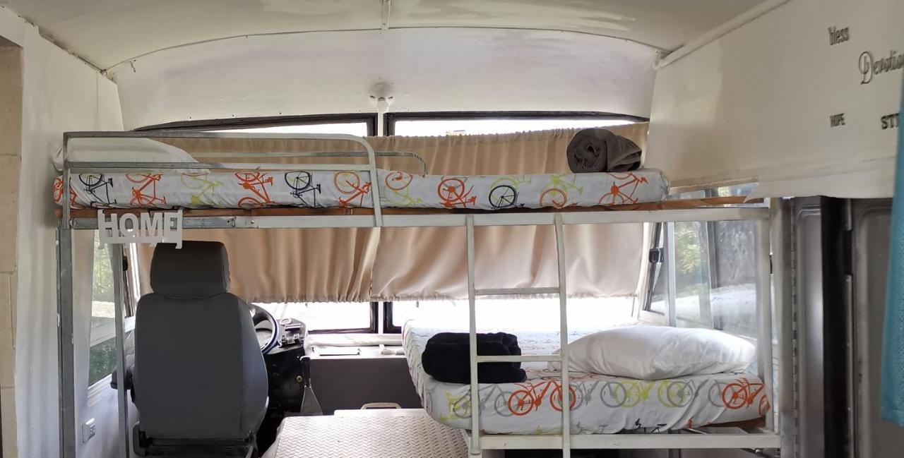 The Dreamcatcher Bus Sarchí 外观 照片